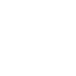 logo volleyball